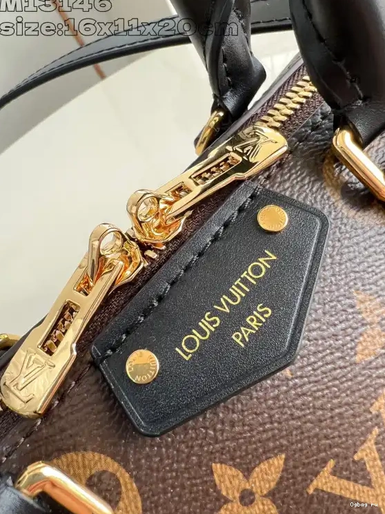 Trunk Speedy Vuitton Louis 20 0404